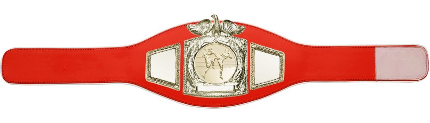 PROEAGLE THAI BOXING CHAMPIONSHIP BELT - PROEAGLE/G/TBOG - AVAILABLE IN 6+ COLOURS PROEAGLE THAI BOXING CHAMPIONSHIP BELT - PROEAGLE/G/TBOG - AVAILABLE IN 6+ COLOURS